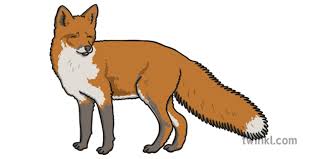 Amerika kaynaklı olan kanal ilk önce spor etkinliklerini canlı yayınlayarak reyting oluşturmaya çalışmış. What Is A Fox Answered Twinkl Teaching Wiki