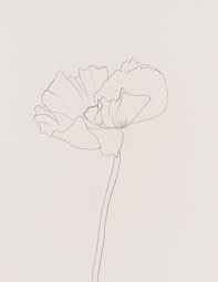 Ellsworth Kelly Casts His Cold Eye On Art Market Peers Ellsworth Kelly Art Plant Drawing