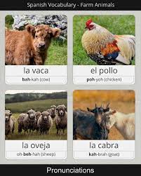 How To Say Cow Chicken Sheep Goat In Spanish Video Korean Language Learn Korean Learn Japanese