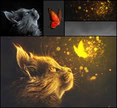 Fantasy Glow Light Effect Photoshop Manipulation Tutorial Light Effect Photoshop Photoshop Tutorial Manipulation Fantasy Photoshop