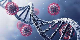 There are many reasons peru has fared so badly in the pandemic. What The Lambda Covid 19 Variant Means For Us Right Now