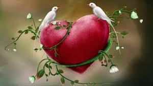 Love Birds Wallpapers Top Free Love Birds Backgrounds Wallpaperaccess