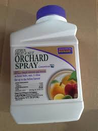 Banned fruit spray crossword clue has appeared on today's daily themed mini crossword june 6 2019 answers. Bonide Chemical Citrus Fruit And Nut Orchard Spray Concentrate Automotive Parts Supplies Plumbing Landscaping Supplies And Housewares All New Equip Bid
