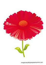 flores en laminas para imprimir imagenes y dibujos para imprimir daisy plants dandelion