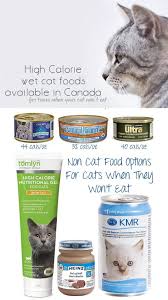 Instead, they use cat safe and tasty ingredients to help your cat gain the weight they need. High Calorie Alternatives To Hills A D For Feeding Your Underweight Cat