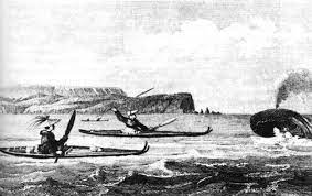 A Man Hunting Whales From A Kayak Throws A Spear C1841 Illustration From Duflot De Mofras Exploration Du Territoire De L Kayaking Historical Images Inuit
