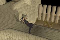 Image result for how long does brimhaven agility course take per ticket