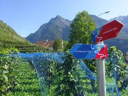 Competent administration, bureau of intellectual property The Liechtenstein Trail Walking The Length Of A Country In A Weekend