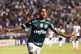 De lima silva 13 f. Campeonato Paulista Palmeiras Reassume Lideranca Do Grupo B