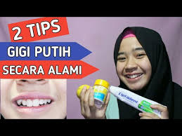 Cara memutihkan gigi ini hanya dengan mengunyah nanas yang dapat membantu menghilangkan plak gigi. Cara Memutihkan Gigi Secara Alami 2 Cara Memutihkan Gigi Youtube