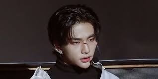 Jeongin | stray kids twitter → cr. The Untold Truth Of Stray Kids Member Hwang Hyunjin Kpop Wiki