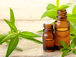 You can add dried herbs directly to anything, but infusing them into salts and sugars further extends their shelf life. Lemon Verbena Oil Benefits Uses Organic Facts