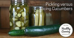 What is the brand of pickles that mcdonalds uses? Pickling Versus Slicing Cucumbers Healthy Canning