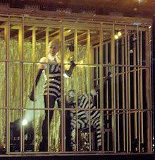 Gven stefani what you waiting for video. The Sweet Escape Song Wikipedia