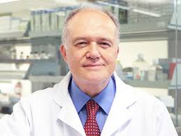 Donald Weaver, Professor