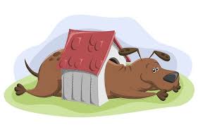 Free for commercial use no attribution required high quality images. Pin On My Illustrations