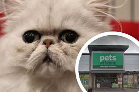 Find the perfect food for your perfect pet today. Full List Of Recalled Sainsbury S And Pets At Home Cat Food York Press