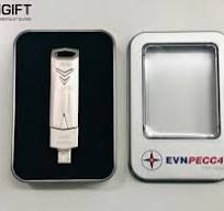 USB 2 Đầu Đa Năng Cao Cấp DM in logo thương hiệu EVN PECC4 ...