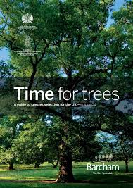 An upright grower with a spreading canopy. Time For Trees Edition 04 By Barcham Trees Issuu
