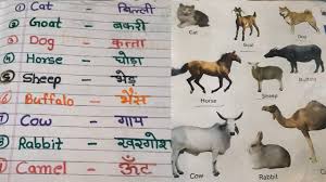 Pet animals name · 2. Domestic Animals Name In Hindi And English à¤ª à¤²à¤¤ à¤œ à¤¨à¤µà¤° à¤• à¤¨ à¤® With Pictures Nursery Lkg Ukg Youtube