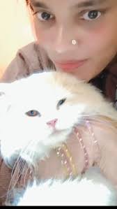 Reel by Sumi Sumi (@sumisumi_7579) · January 18, 2026