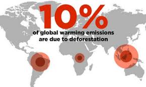 Other Deforestation Drivers Union Of Concerned Scientists