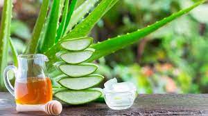 Selain itu, gel lidah buaya mengandung astringent atau saponin yang berfungsi sebagai antibakteri yang mampu menghilangkan lemak berlebih penyebab jerawat. 8 Khasiat Lidah Buaya Dan Cara Penggunaannya