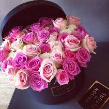 Maison Des Fleurs Rose Pretty Flowers Planting Flowers