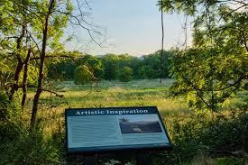 A Year of Innovation