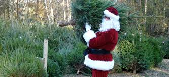 Check spelling or type a new query. British Grown Christmas Tree Shop Friday 20th December 2019 9 30am To 4 30pm