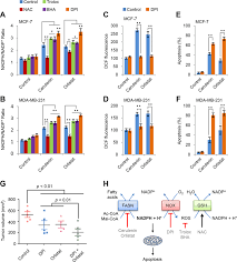 For employees, it's difficult to accept leadership that isn't invested in their development. Nadph Accumulation Is Responsible For Apoptosis A And B Effects Of Download Scientific Diagram