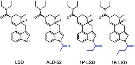 Structural Progression of N1-Substituted Lysergamides, AI generated