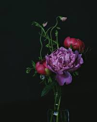 Florealm San Francisco Bay Area Floral Delivery Vivian Chen Fresh Flowers Arrangements Flower Delivery Service Flower Delivery