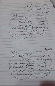 هااااام تجميعه ممتازه لمعظم شكل فن وشبكه مفردات كلمات الترم الاول الصف الثالث الابتدائي 73 بطاقة