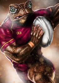 The Invulnerable Maroon Cane Toad Print By Grange Wallis Australian Rugby League Rugby League Rugby Logo