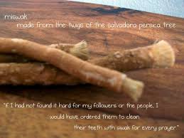 Bitter Taste In My Mouth Pregnancy Siwak Looks Like Liquorice It S Acually Very Bitter In Taste Kills The Bacteria In Your Mouth And Natural With Images Healthy Teeth Natural Ingredients Natural Medicine