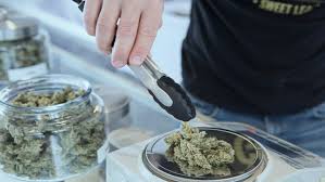 Italia está luchando por la legalización de la marihuana con un helado de infusión de cannabis. La Guia F W De La Marihuana Comestible Chefs Que Adoptan La Tendencia