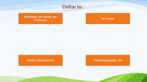 Maybe you would like to learn more about one of these? Sel Hewan Addiena Saniscara 01 Aisyah Rahadi Safitri 02 Ppt Download