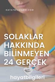 Solaklar Hakkinda Bilinmeyen 24 Gercek 2020 Ilham Verici Sozler Gercekler Bilgi