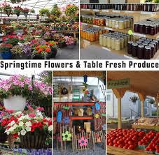 More the natural nook proudly serves gearhart and the surrounding areas. Spookynook Produce Greenhouse Real Lancaster Countyreal Lancaster County