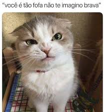 pin on meus nene