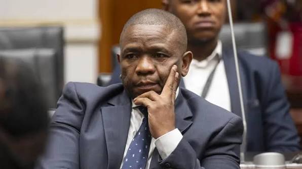 ICYMI: 10 key highlights from Mkhwanazi's testimony on SAPS corruption