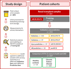 A Urine Score For Noninvasive Accurate Diagnosis And Prediction Of Kidney Transplant Rejection Science Translational Medicine