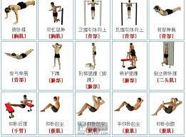 (zhangzhou and taiwanese hokkien, teochew) burly; å¥èº«å™¨æ æ— å™¨æ¢°å¥èº« è‚Œè‚‰ç½'