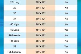 sizing infographics visual ly