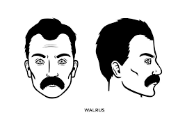 Résultat de recherche d'images pour "nietzsche mustache"