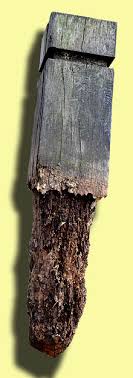 Ocean driftwood, plywood, particle board, or any wood with glue on or in. Wood Preservation Wikipedia