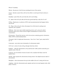 The sites of protein synthesis. Mitosis Vocabulary