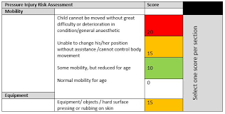 Clinical Guidelines Nursing Pressure Injury Prevention