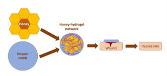 On october 1, 2017, singh returned to federal politics when he was elected leader of the federal ndp after having won on the first ballot with 53.8 per cent of the vote. Applied Sciences Free Full Text The Rediscovery Of Honey For Skin Repair Recent Advances In Mechanisms For Honey Mediated Wound Healing And Scaffolded Application Techniques Html